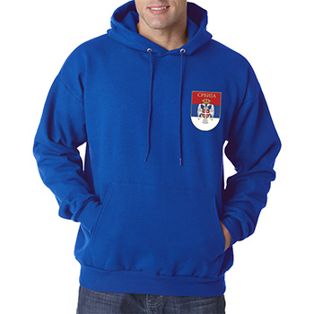 Blue sweater with hoodie 